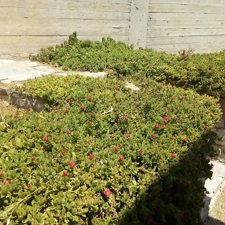 Cycladic House Vari (Syros)