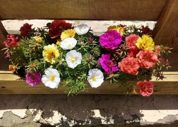 Сasa de vacaciones Cycladic House *